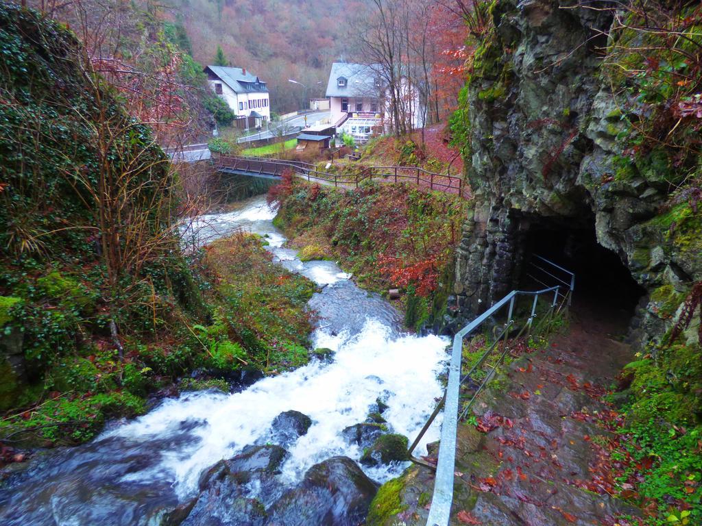 Ferienwohnungen Schenk Schmitz Бад-Бертріх Екстер'єр фото